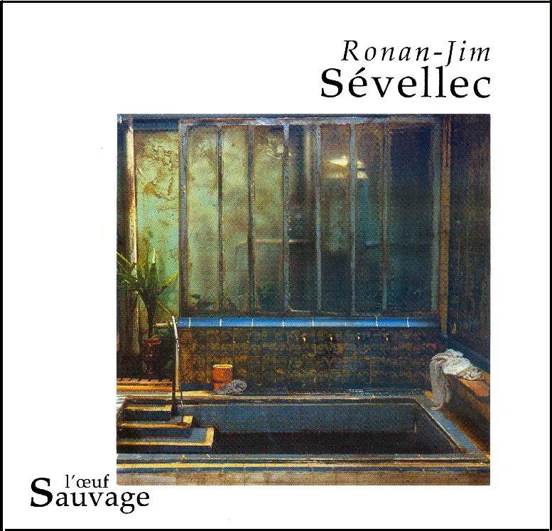 Couverture de Ronan-Jim Sévellec