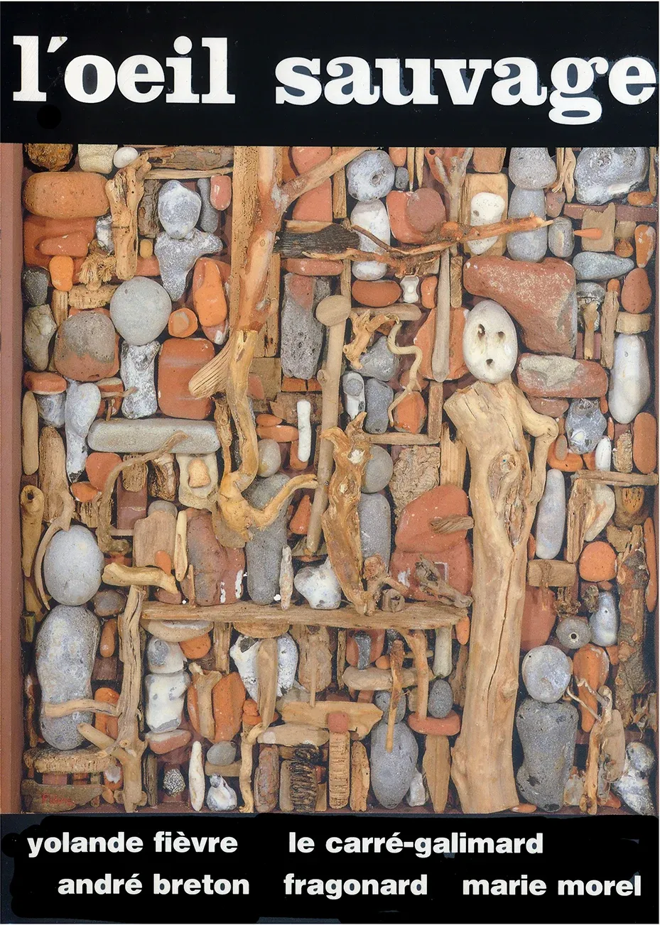 Maquette de la revue L’œil sauvage